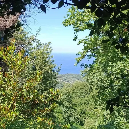 μountain Whispers Apartment Mouresi