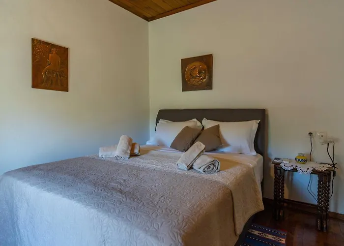 Apartamento μountain Whispers Mourésion